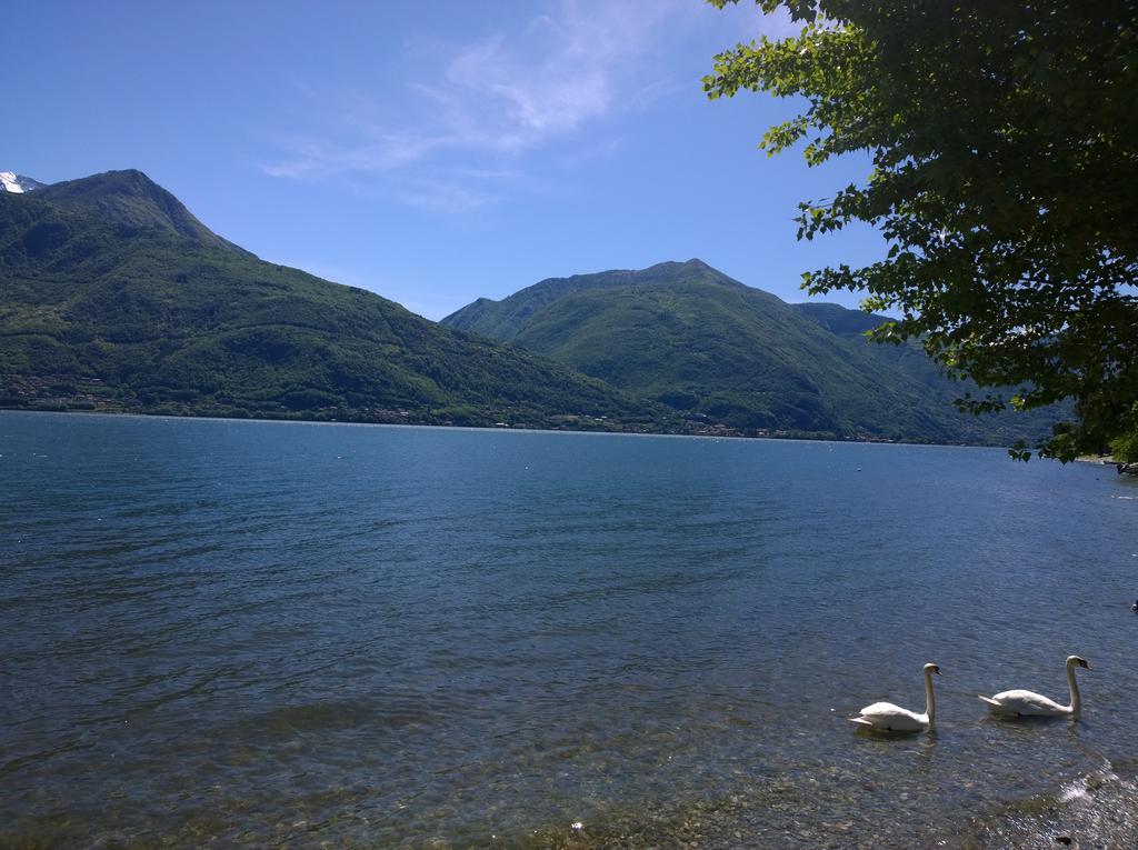 Venanzio! Διαμέρισμα Pianello Del Lario Εξωτερικό φωτογραφία
